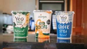 Is Greek Yogurt Good for Dogs With Diarrhea