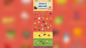 What Fruits Can Dogs Not Eat