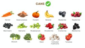 What Raw Vegetables Can Dogs Eat