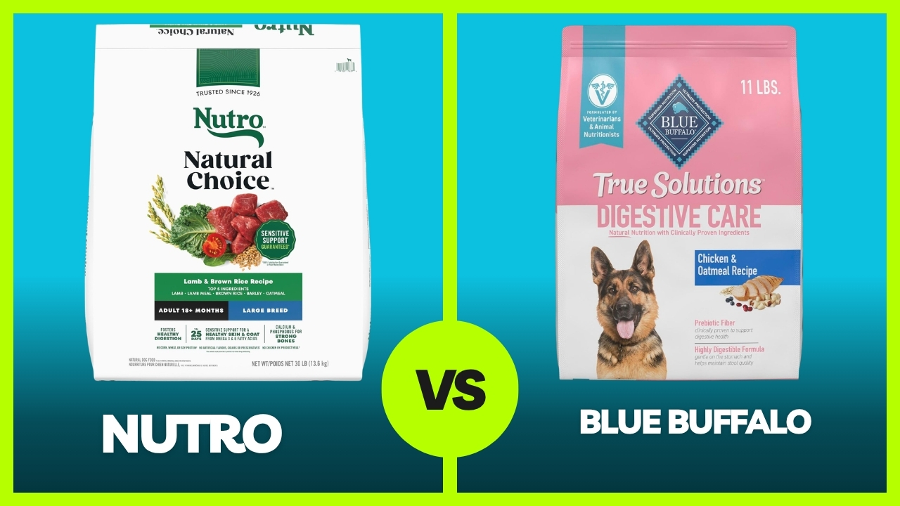 Nutro Vs Blue Buffalo