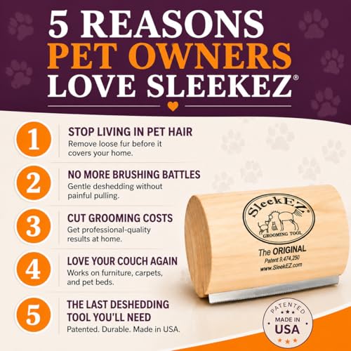 Best Brush For Vizsla Dogs