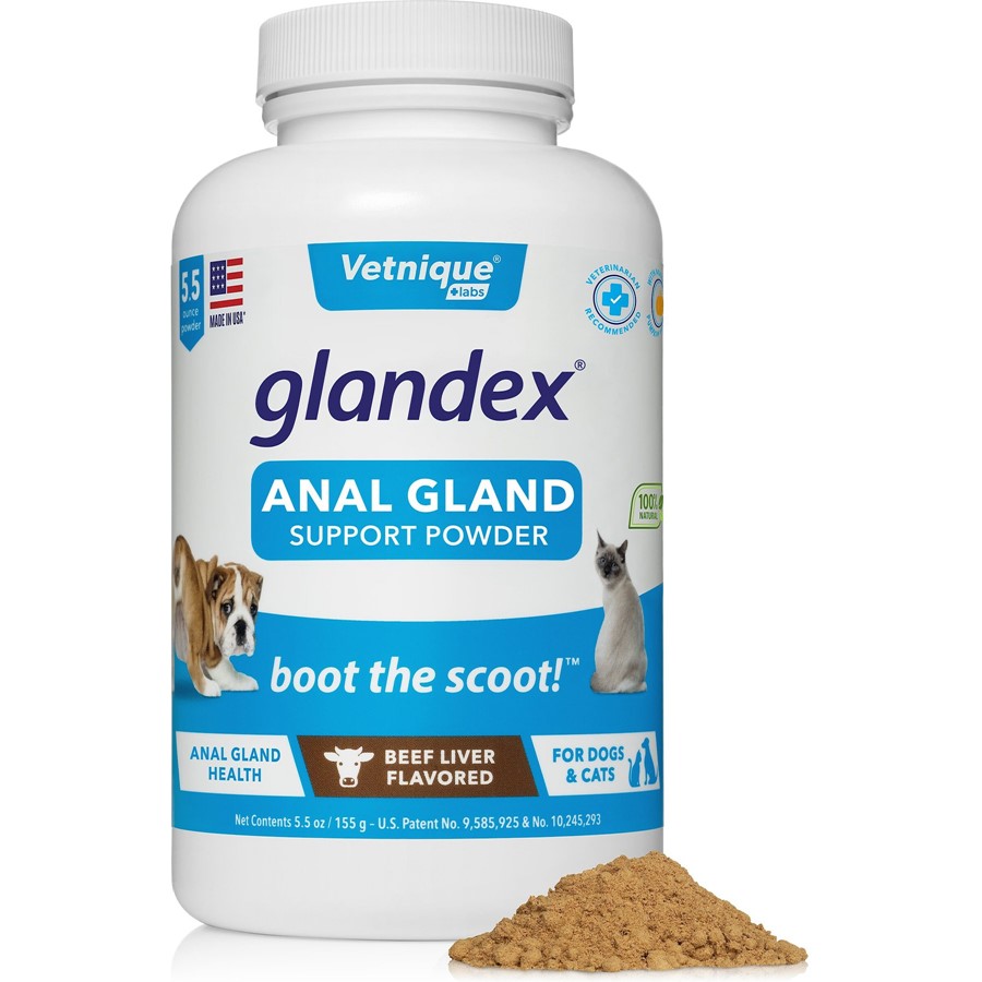Can Food Cause Anal Gland Issues In Dogs