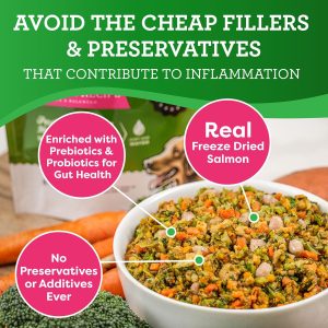 Dog Food Ingredients To Avoid For Allergies
