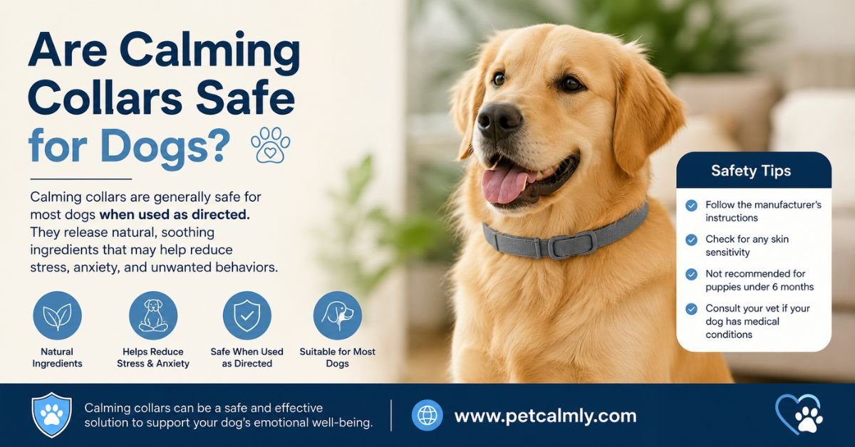 Dog Safe Ingredient Checker