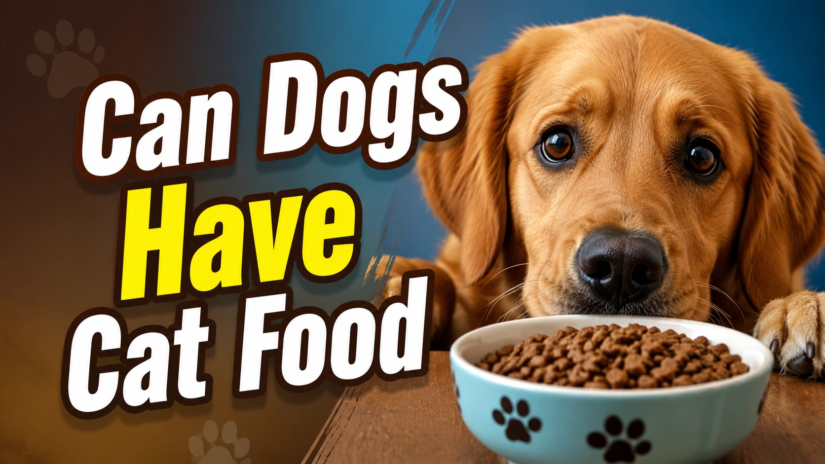 Can Dogs Have Cat Food