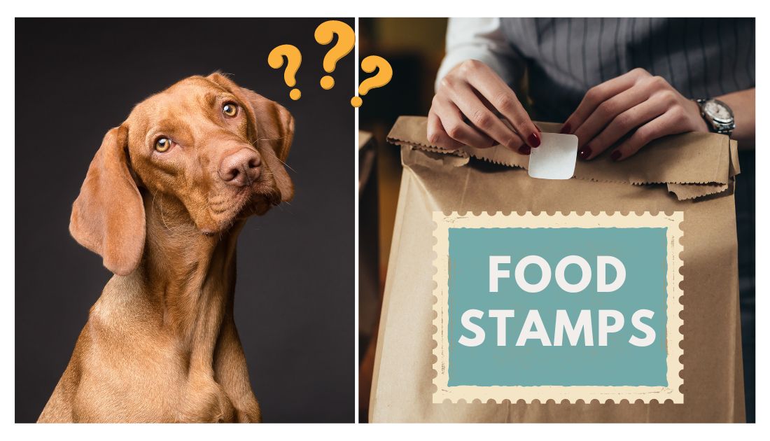Can You Buy Dog Food With EBT
