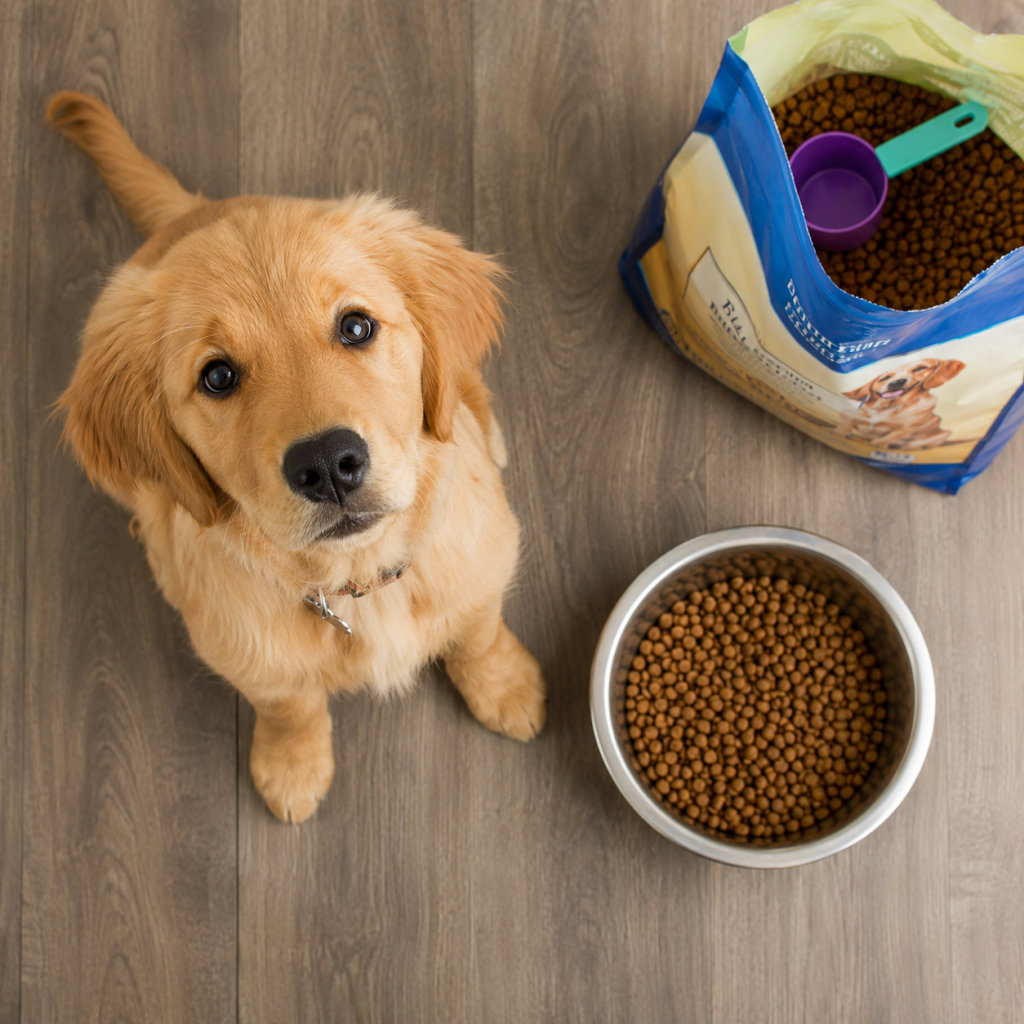 How Much to Feed a Puppy by Weight (lb)