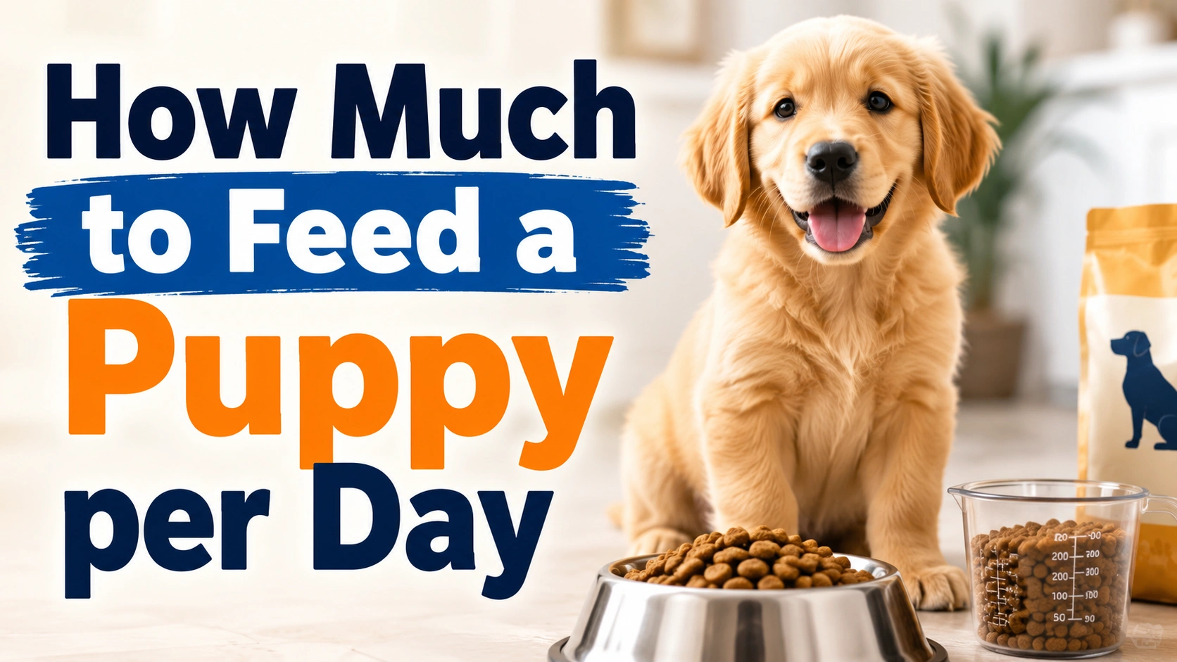 How Much to Feed a Puppy per Day