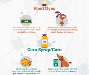 Dog Food Ingredients To Avoid