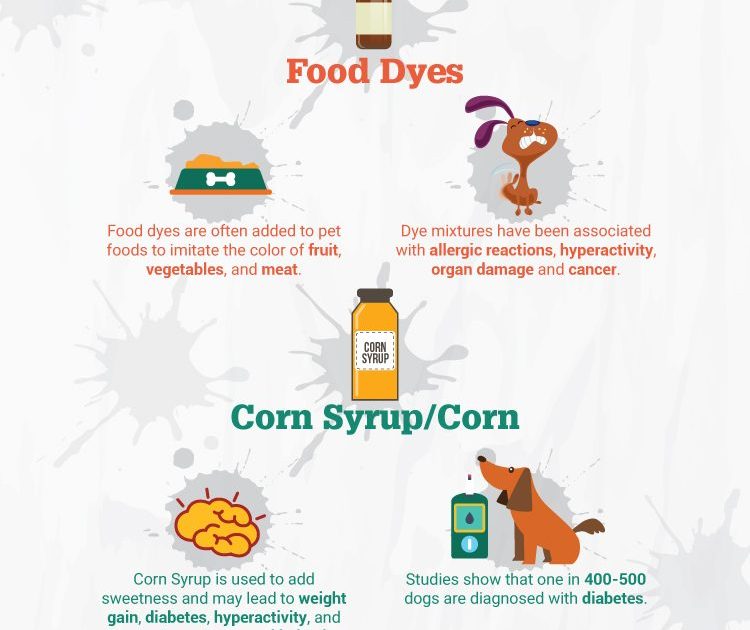 Dog Food Ingredients To Avoid