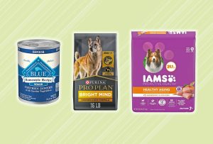 Worst Senior Dog Food Brands