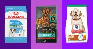 Worst Puppy Food Brands
