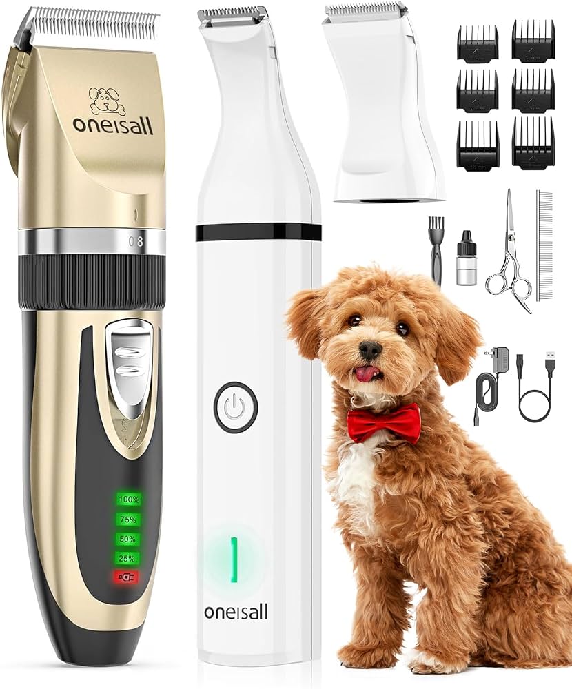 How To Groom A Dog For Beginners With Clippers