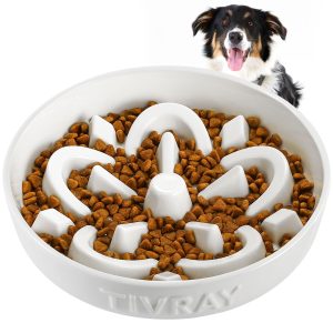 How To Stop A Dog From Eating Too Fast