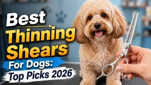 Best Thinning Shears For Dogs