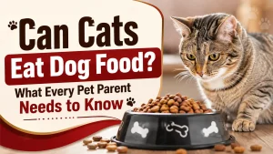 Can Cats Eat Dog Food