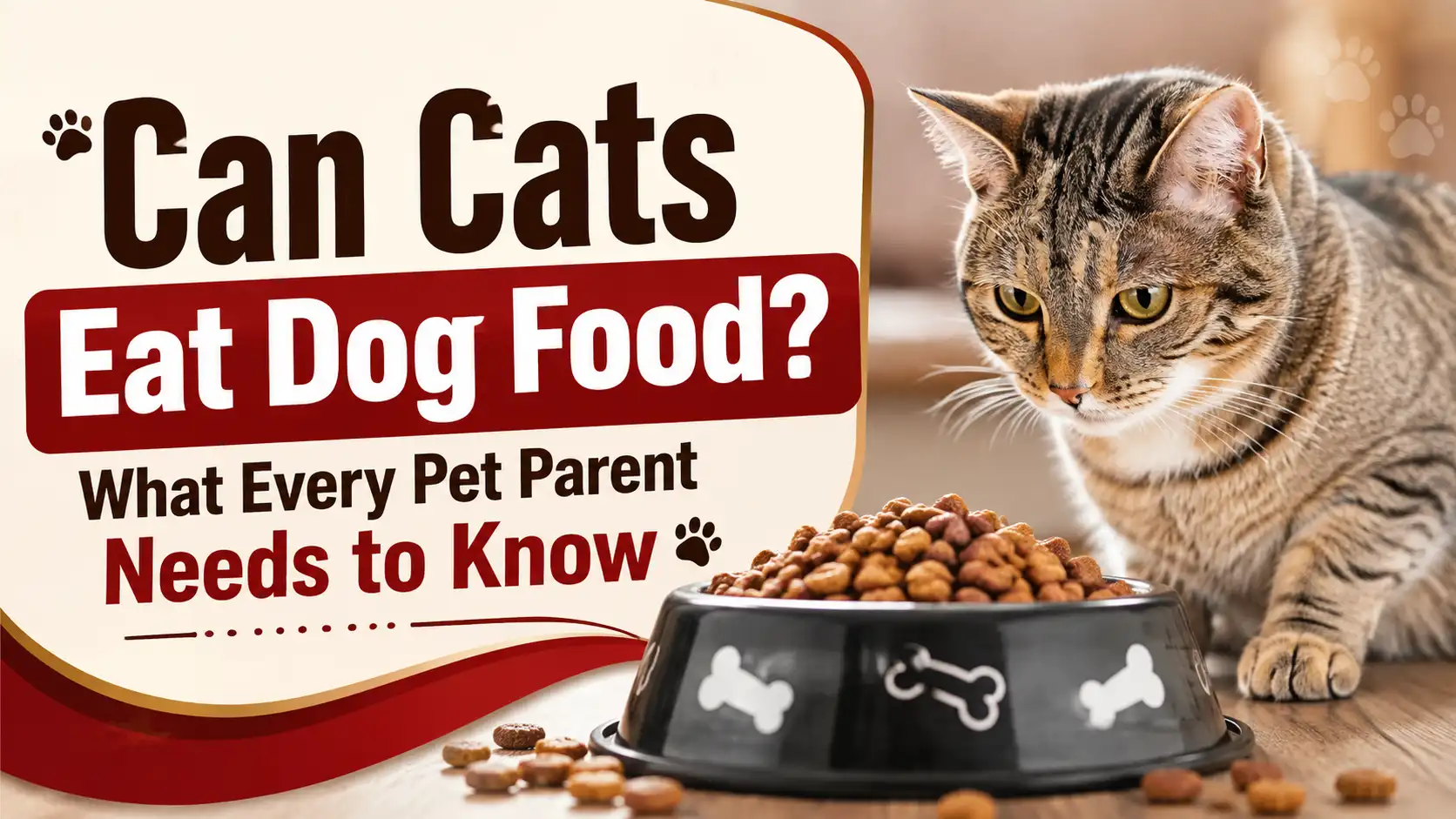 Can Cats Eat Dog Food
