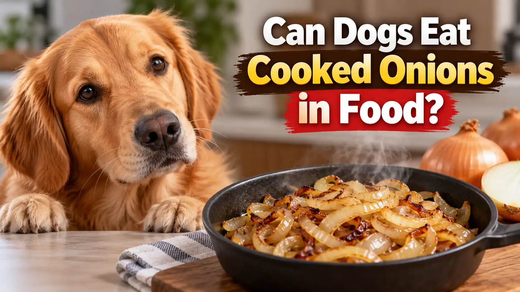 Can Dogs Eat Cooked Onions in Food