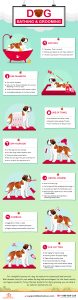 Dog Grooming Tips For Beginners