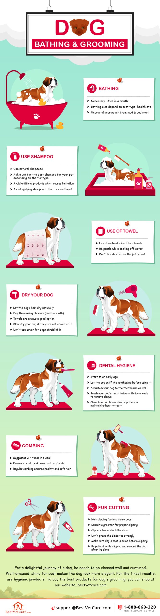 Dog Grooming Tips For Beginners