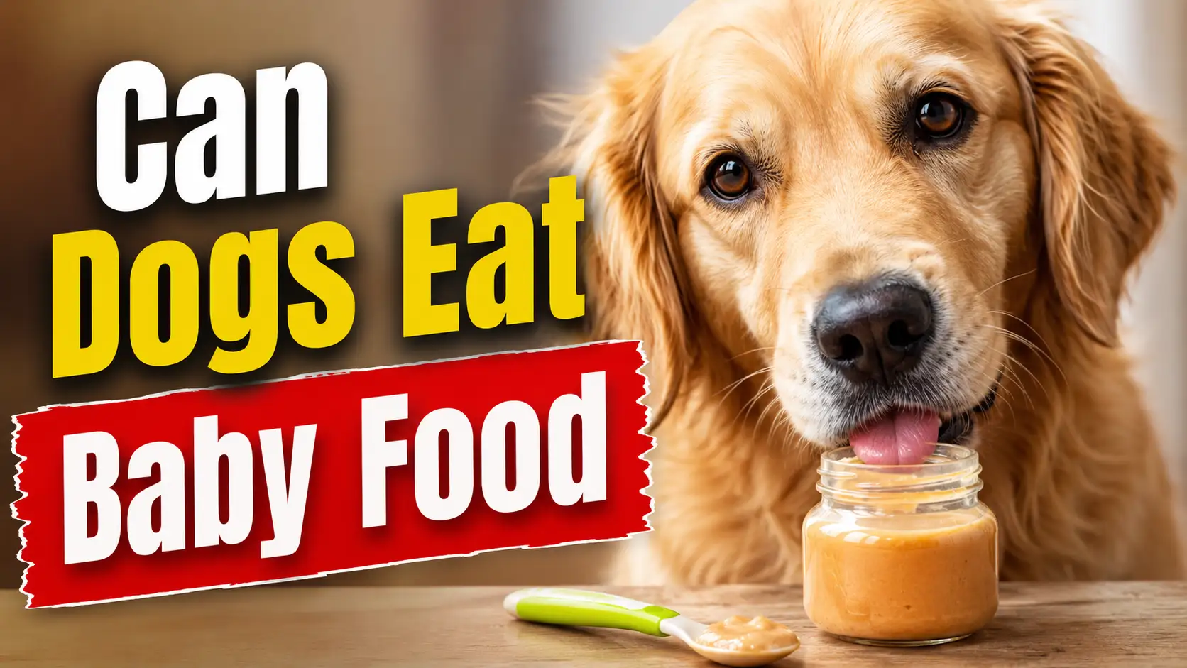 Can Dogs Eat Baby Food