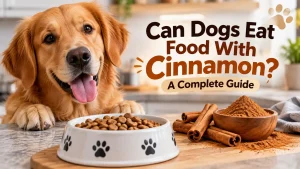 Can Dogs Eat Food With Black Pepper