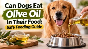 Can Dogs Eat Olive Oil In Their Food