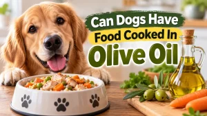 Can Dogs Have Food Cooked In Olive Oil