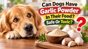 Can Dogs Have Garlic Powder In Their Food Safe Or Toxic
