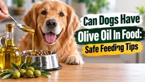 Can Dogs Have Olive Oil In Food