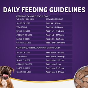 How Many Cans Of Wet Dog Food Per Day