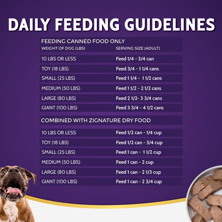 How Many Cans Of Wet Dog Food Per Day