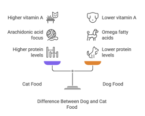 Dog Food Vs Cat Food