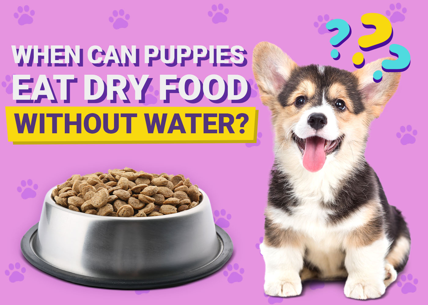 How Do You Get Your Dog To Eat Dry Food