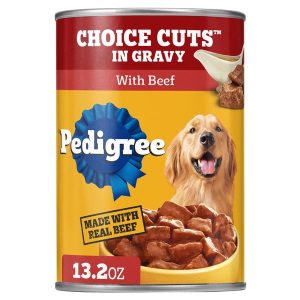 Do Dogs Need Wet Food