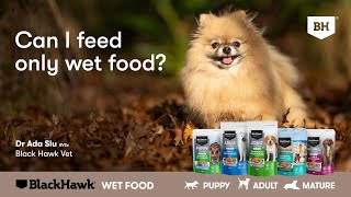 Can I Feed My Dog Only Wet Food