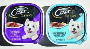 Do Dogs Need Canned Food