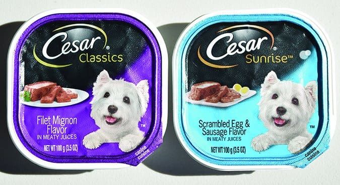 Do Dogs Need Canned Food